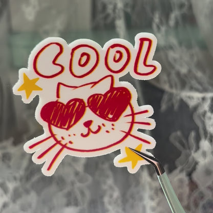 Cool Cat