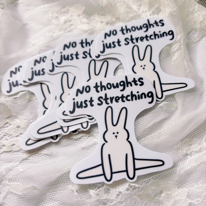 Tired Rabbit - No Thoughts, Just Stretching
